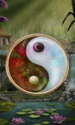 Panda Money